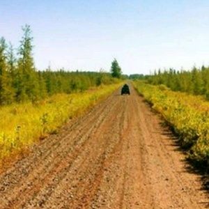 Meet your Posher, Sean